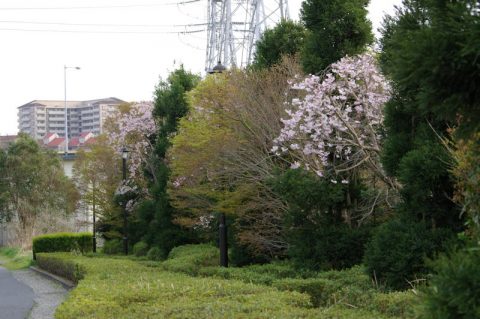 花見川霊苑前