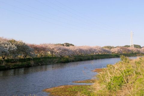 花見川